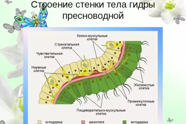 Кракен портал