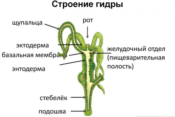 Как купить наркотик в кракен